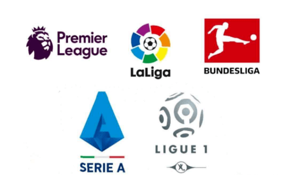 事热度居高, 为加快建设, 向体育领域